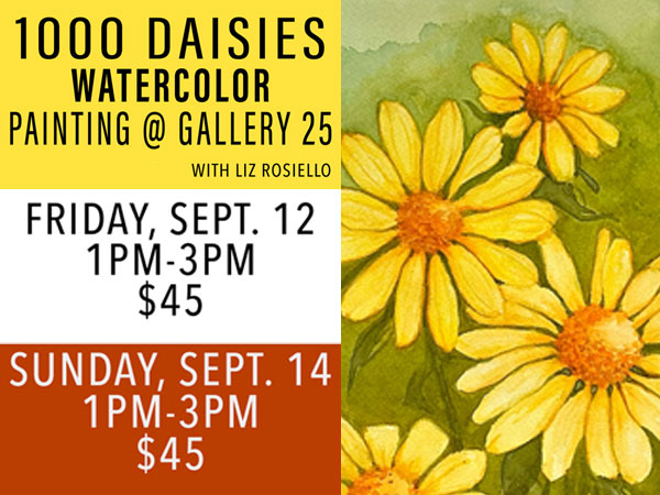 1000 Yellow Daisies